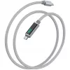 4smarts USB-C-kabel DigitCord 100W - kabel - digitaal/data