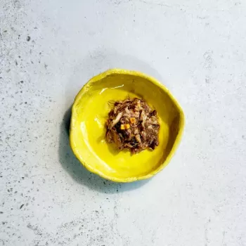 Ollo Tuna with Cheese in Broth nr. 10 70g