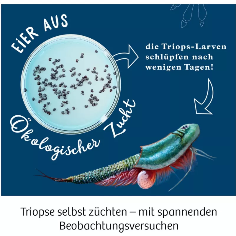 Kosmos 633073 Triops World experimenteerdoos