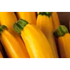 Gouden courgette Toraf groentezaden, 5g pakket
