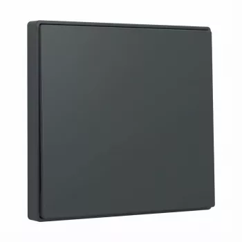Wip Gira System 55 antraciet 329628 voor modulaire frames