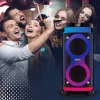 Draagbare luidspreker MANTA SPK0601B100, 100 W, Bluetooth, karaoke, draadloze microfoon, accu, equalizer, discolicht