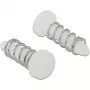 Delock kliknagel voor koellichaam - set 10 stuks wit (18272)