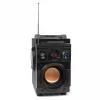Squeak Bassblaster Bluetooth 5.1 luidspreker, FM-radio, MP3-speler SQ1001