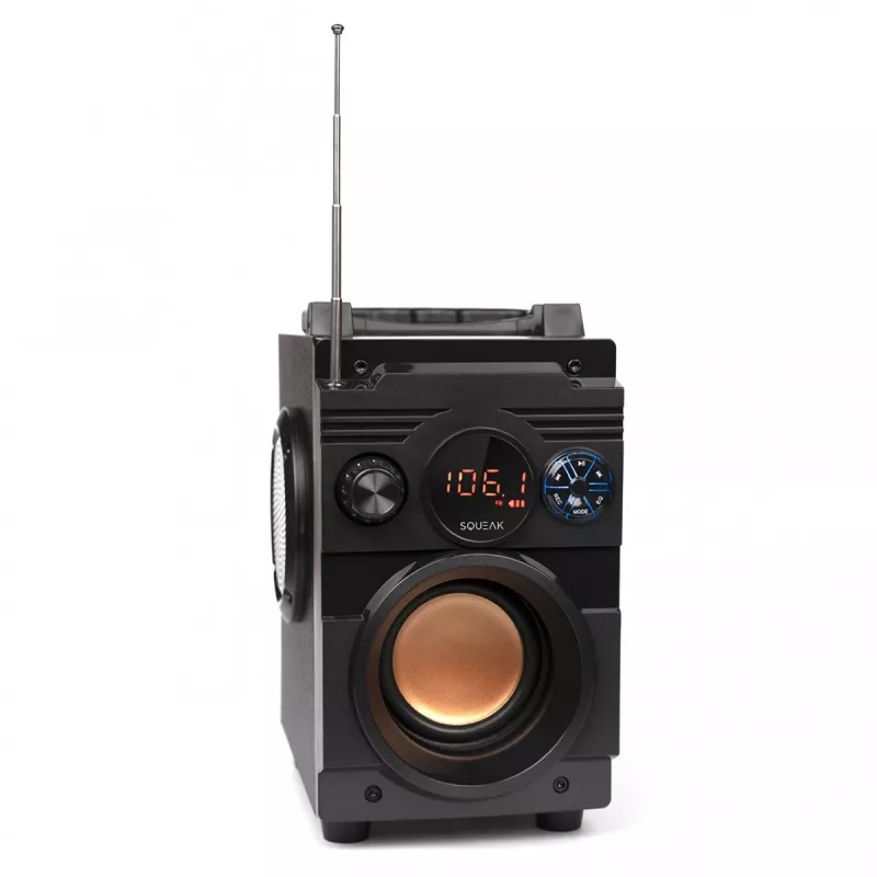Squeak Bassblaster Bluetooth 5.1 luidspreker, FM-radio, MP3-speler SQ1001