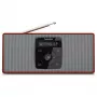 TechniSat DIGITRADIO2S rt/si digitale radio