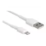 USB-oplaadkabel DeLOCK 87866 voor iPhone iPad iPod 30 cm