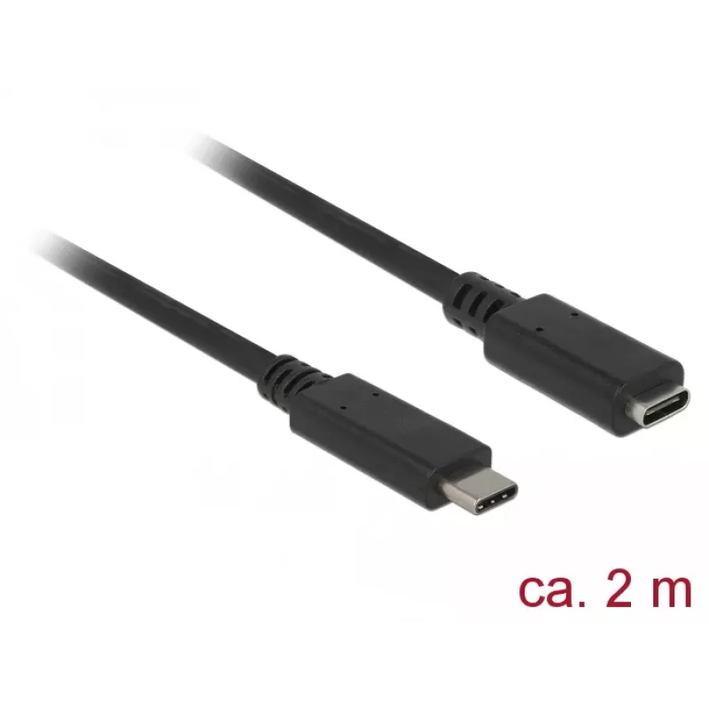 USB-kabel DeLOCK SuperSpeed USB 3.2 Gen 1 2 m USB-C zwart