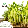 TORAF Spring Flavors zaden-set - 12 zakjes