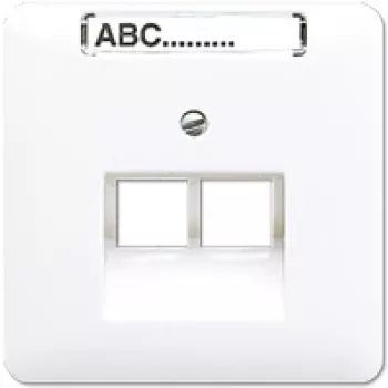 Wandcontactdoos RJ-45 Jung CD 569-2 NAUA WW — wit