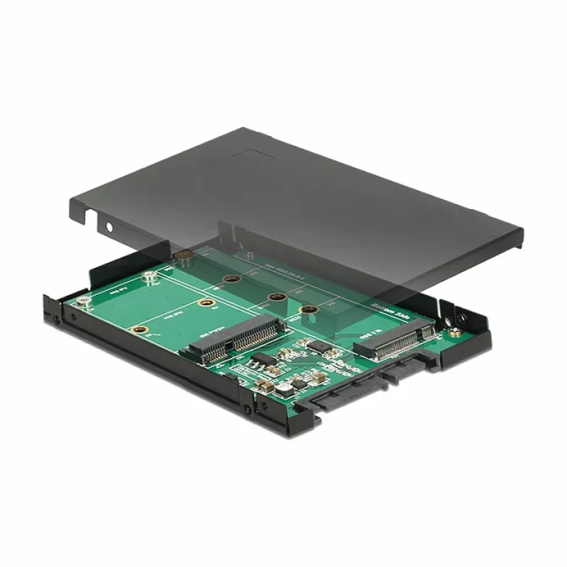 Interfacekaart DeLOCK 62866 intern M.2 mSATA