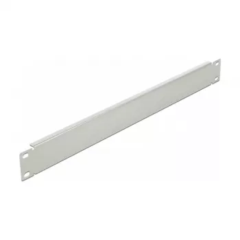Blindplaat DeLOCK 19 inch netwerkkast 66533
