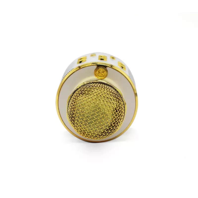 Microfoon MANTA MIC10-G goud nier draagbaar — condensator nier, handontwerp