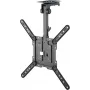 Goobay TV-plafondsteun Basic (M), zwart (70824)
