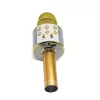 Microfoon MANTA MIC10-G goud nier draagbaar — condensator nier, handontwerp