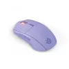 Muis Steelseries 62525 RF Wireless + Bluetooth