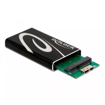 SSD-behuizing DeLOCK 42006