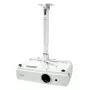 Avtek EasyMount projector montagebeugel wit