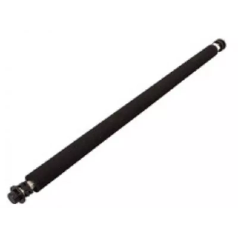 Ricoh B0393820 printer/scanner reserveonderdeel/accessoire rol