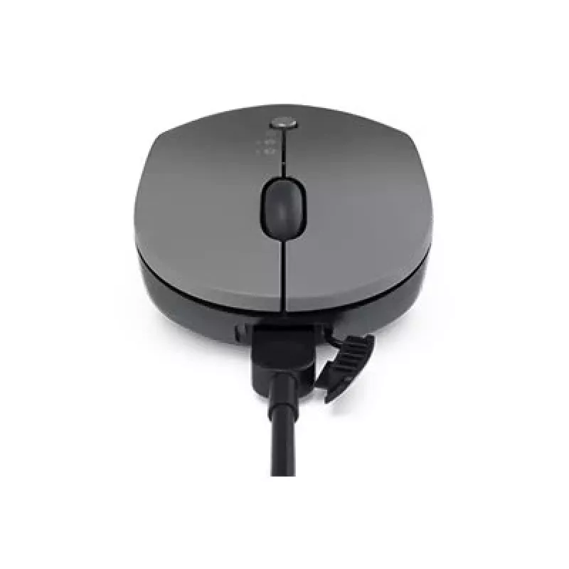 Lenovo Go draadloze multi-device muis kantoor beide handen RF Wireless + Bluetooth + USB Type-A optisch 2400 DPI