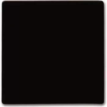 BUSCH JAEGER 2105-31 - bruin - Busch-Jaeger - 70 mm - 70 mm - 1,3 cm - 1 stuk(s)