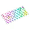 MECHANICAL toetsenbord SAVIO