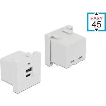 Contactdoos USB A + USB C DeLOCK 81313