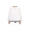 Draagbare luidspreker Blaupunkt BT25LAMP wit