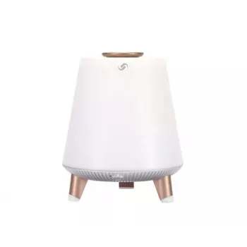 Draagbare luidspreker Blaupunkt BT25LAMP wit