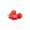 PNOS paprika Ozarowska gecoate zaden, verpakking van 50