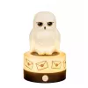 BlueSkyStudios Harry Potter - minilamp USB-C (dimbare)