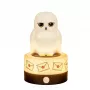 BlueSkyStudios Harry Potter - minilamp USB-C (dimbare)