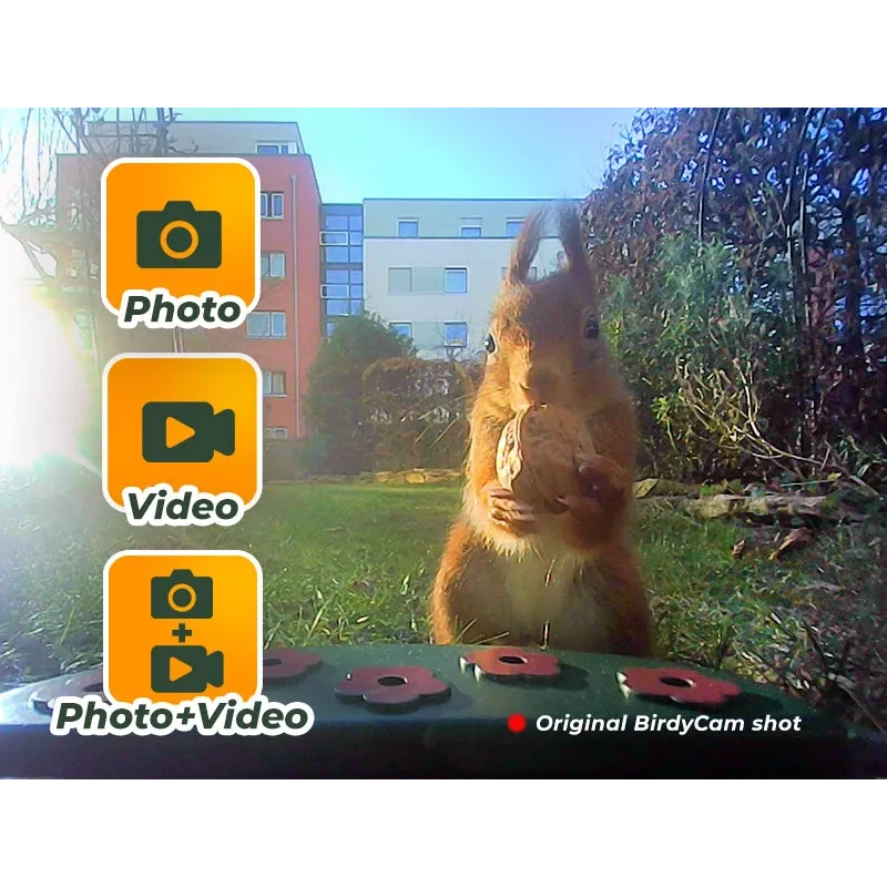 EASYPIX Bird Camera Easypix Bird Cam 10123 1080p HD nachtzicht