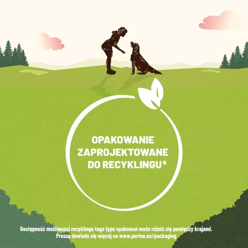 PURINA Adventuros Training zalm - hondensnacks - 40 g