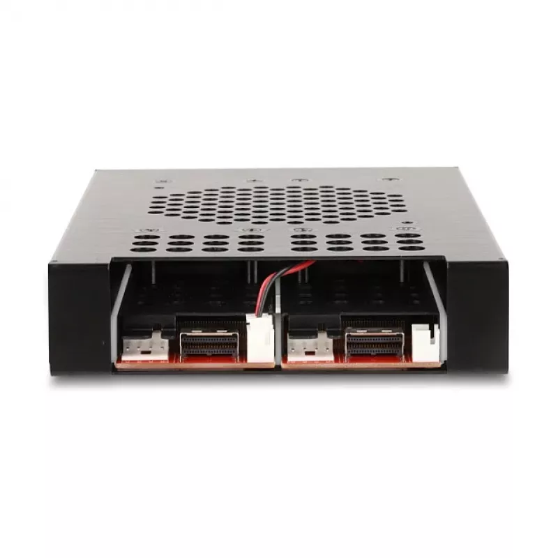 SSD-behuizing DeLOCK 47117 3,5 inch wisselraam voor 2 x M.2 NVMe SSD