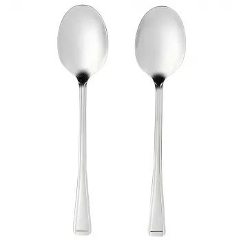 Serveerlepel-set Salter BW09649 – 2-delig RVS, vaatwasserbestendig
