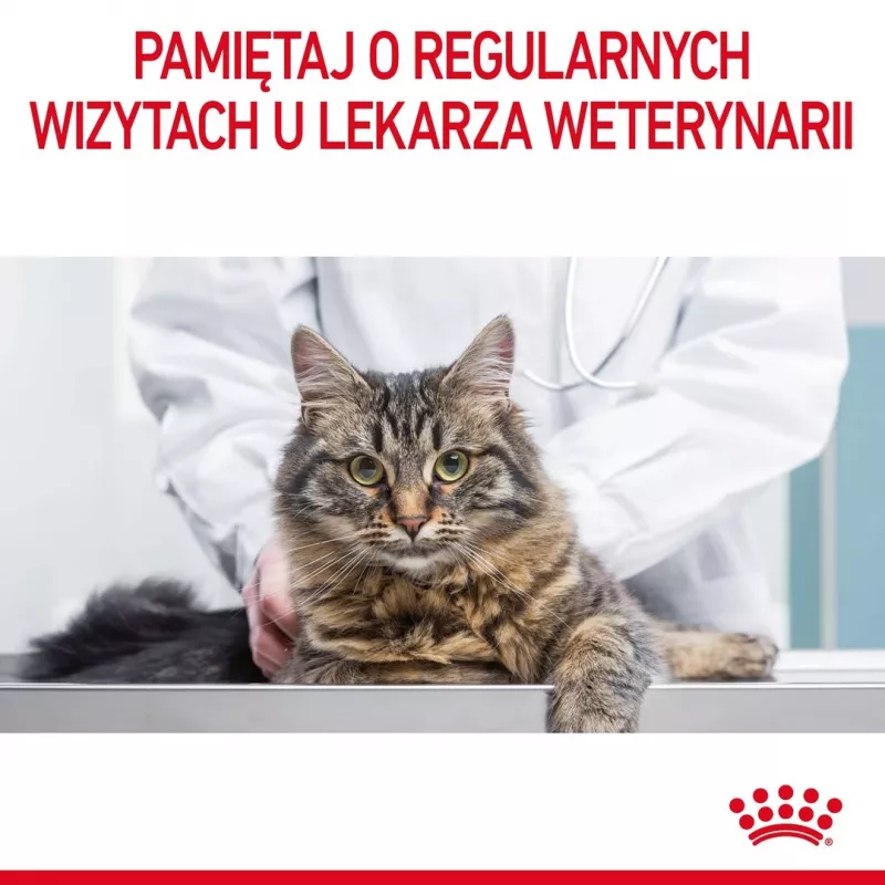 Nassfutter voor katten Royal Canin Urinary Care volwassen gevogelte 85 g zak (12-pack)