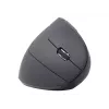 Gembird MUSW-ERGO-01 muis voor rechtshandigen RF draadloos optisch 1600 DPI