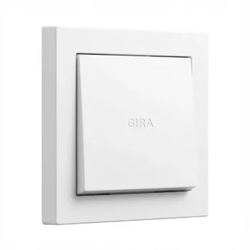 Wip Gira System 55 zuiverwit 329603 voor modulaire kaders