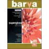 Fotopapier Barva Profi Super Glossy 255 g/m² A3 20 vel