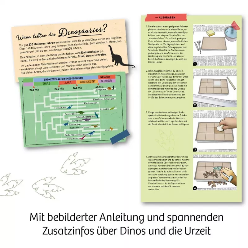 Kosmos T-REX, augmented reality, 7 jaar, groen Kosmos T-REX. Type: augmented reality, aanbevolen leeftijd (min.): 7 jaar, productkleur: groen