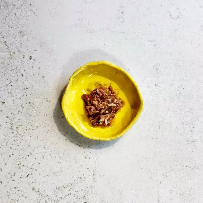 Ollo tonijn met kreeft in bouillon nr. 11 70g