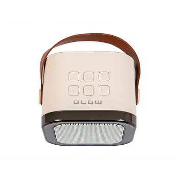 Karaokeluidspreker, KARAOKE RGB bluetooth-luidspreker, 30W