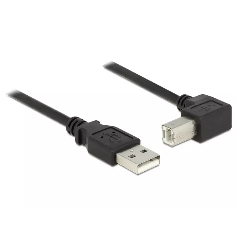 USB-kabel DeLOCK 2 m USB 2.0 USB A USB B zwart