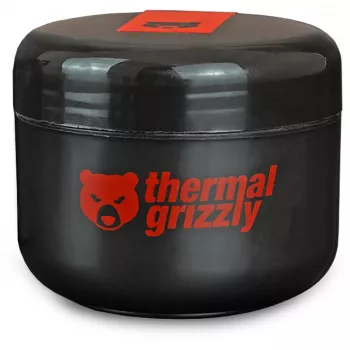 Thermal Grizzly Putty Advance 100g blauw (TG-P-A-100-R)