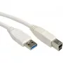 VALUE USB-kabel - USB Type-A (m) naar USB Type-B (m)