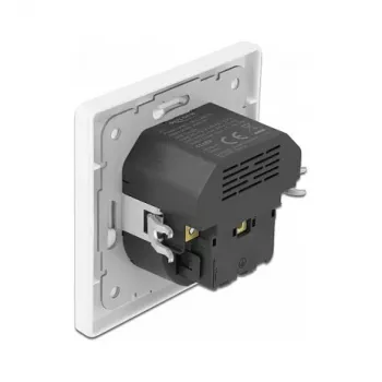 DeLOCK 11489 stopcontact CEE 7/3 + USB wit 250V 16A