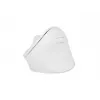 NATEC Crake 2 muis, universeel, voor rechtshandigen, RF Wireless + Bluetooth, optisch, 2400 DPI
