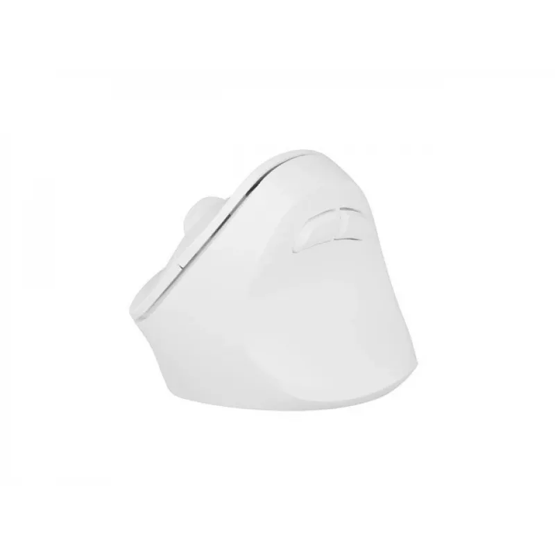 NATEC Crake 2 muis, universeel, voor rechtshandigen, RF Wireless + Bluetooth, optisch, 2400 DPI