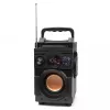 Squeak Bassblaster Bluetooth 5.1 luidspreker, FM-radio, MP3-speler SQ1001